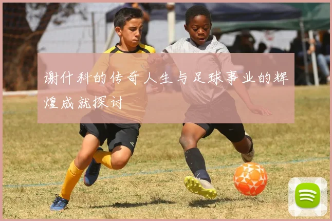 谢什科的传奇人生与足球事业的辉煌成就探讨