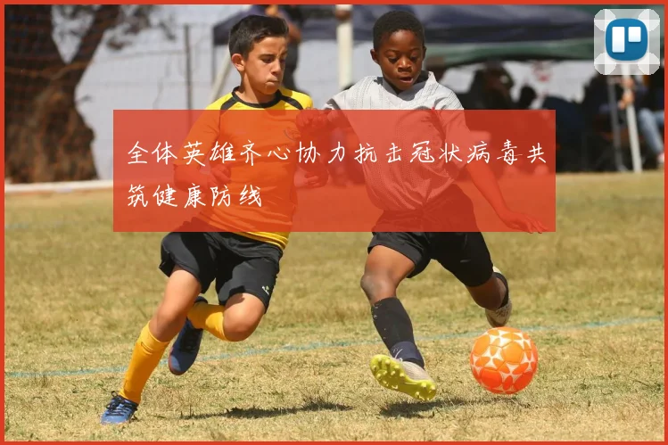 全体英雄齐心协力抗击冠状病毒共筑健康防线