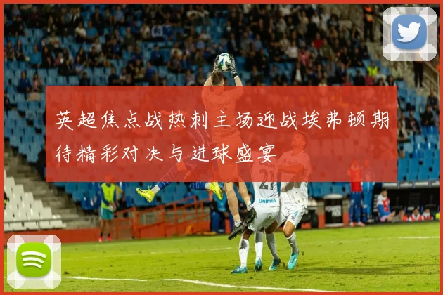英超焦点战热刺主场迎战埃弗顿期待精彩对决与进球盛宴