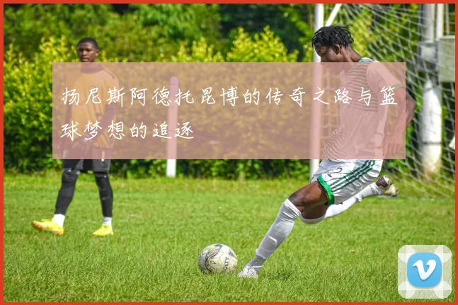扬尼斯阿德托昆博的传奇之路与篮球梦想的追逐