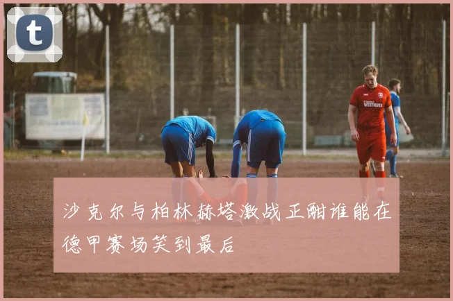 沙克尔与柏林赫塔激战正酣谁能在德甲赛场笑到最后