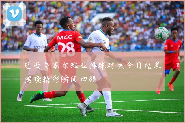 巴西与塞尔维亚排球对决今日结果揭晓精彩瞬间回顾