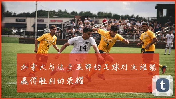 加拿大与法圭亚那的足球对决谁能赢得胜利的荣耀